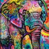 Animal Lovely Graffiti Elephant Colorful