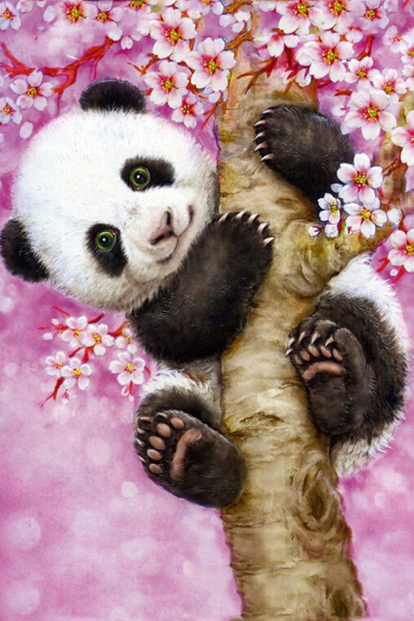 Animal Cute Panda Tree Climbing Pink And Flowers