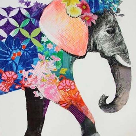 Animal Draw Clothes Elephant Lovely