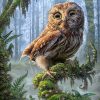 Animal Owl In The Forest Standing On The Tree