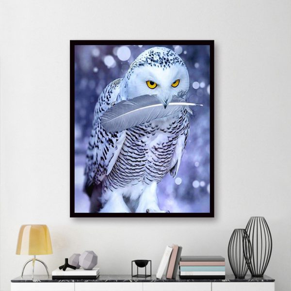 Animal White Owl With Feathers Bright Eyes