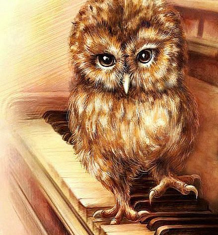 Animal Lovely Owl Standing On The Piano