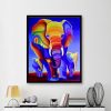 Animal Pretty Elephant Colorful