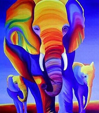 Animal Pretty Elephant Colorful