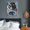 Variety Tiger And Blue Eyes Creativity