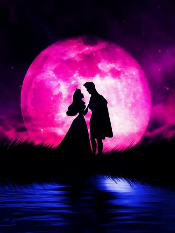 Variety Pink And Blue Moonlight And Lake Couples