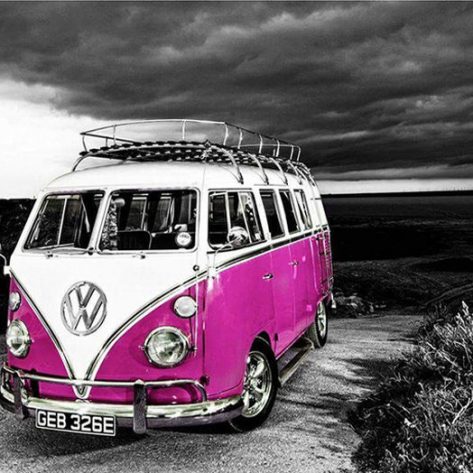 Variety Pink And White Cute Bus Dark Background