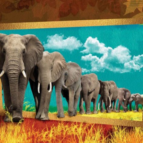 Rich Imagination-the Elephant That Came Out Of The Painting