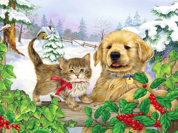 Cute Kitten And Cute Dog On The Fence