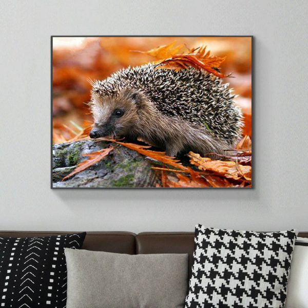 Cute Hedgehog In Autumn