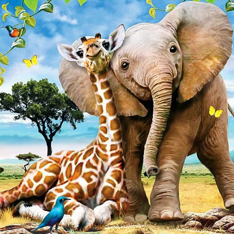 Beautiful Picture Of Giraffe And Elephant Close Together