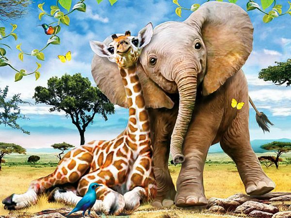 Beautiful Picture Of Giraffe And Elephant Close Together