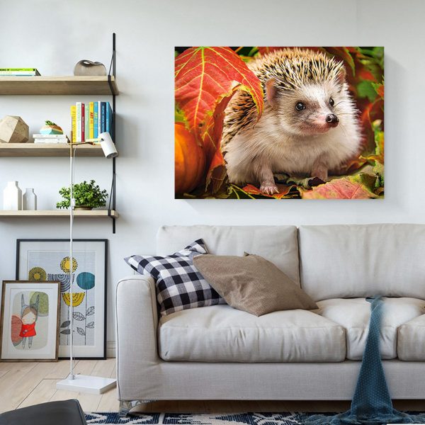 Cute Hedgehog Hiding In The Leaves