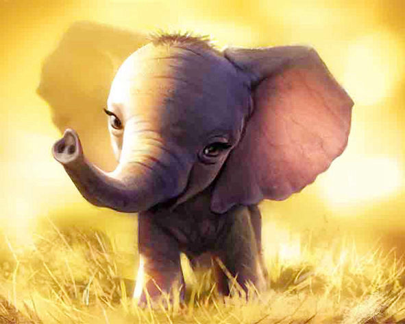 Baby Elephant Cub Walking In The Lawn