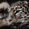 Creative Human Eyes And Leopard