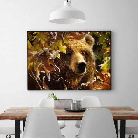 Bear Behind Autumn Leaves