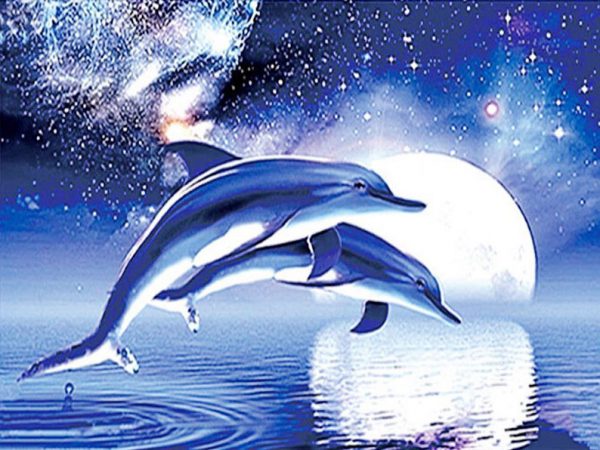 5d Diamond Painted Dolphin